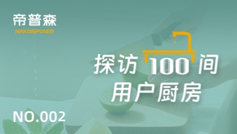 帝普森